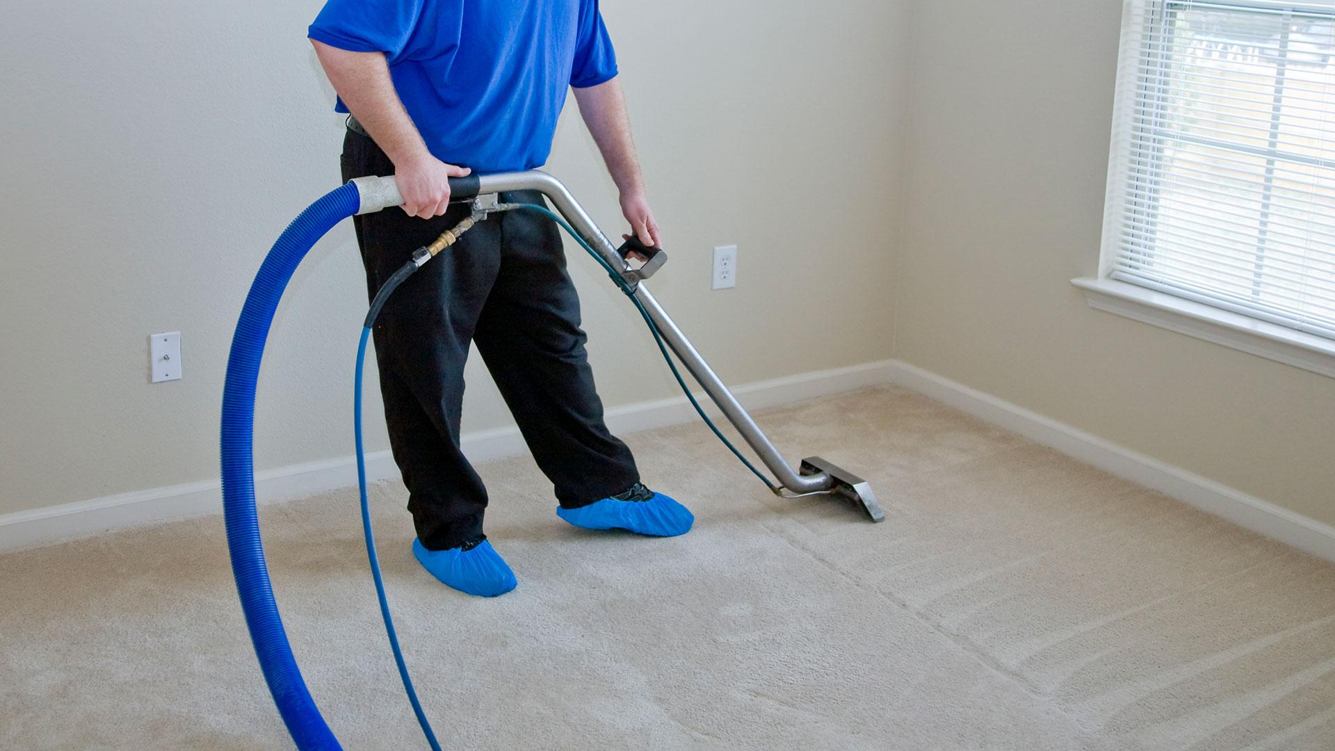 carpet cleaning