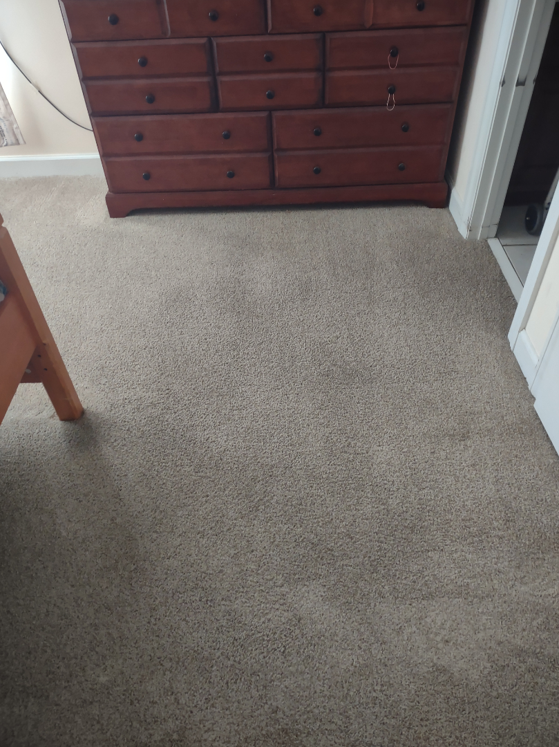 Carpet Cleaning in Huntsville