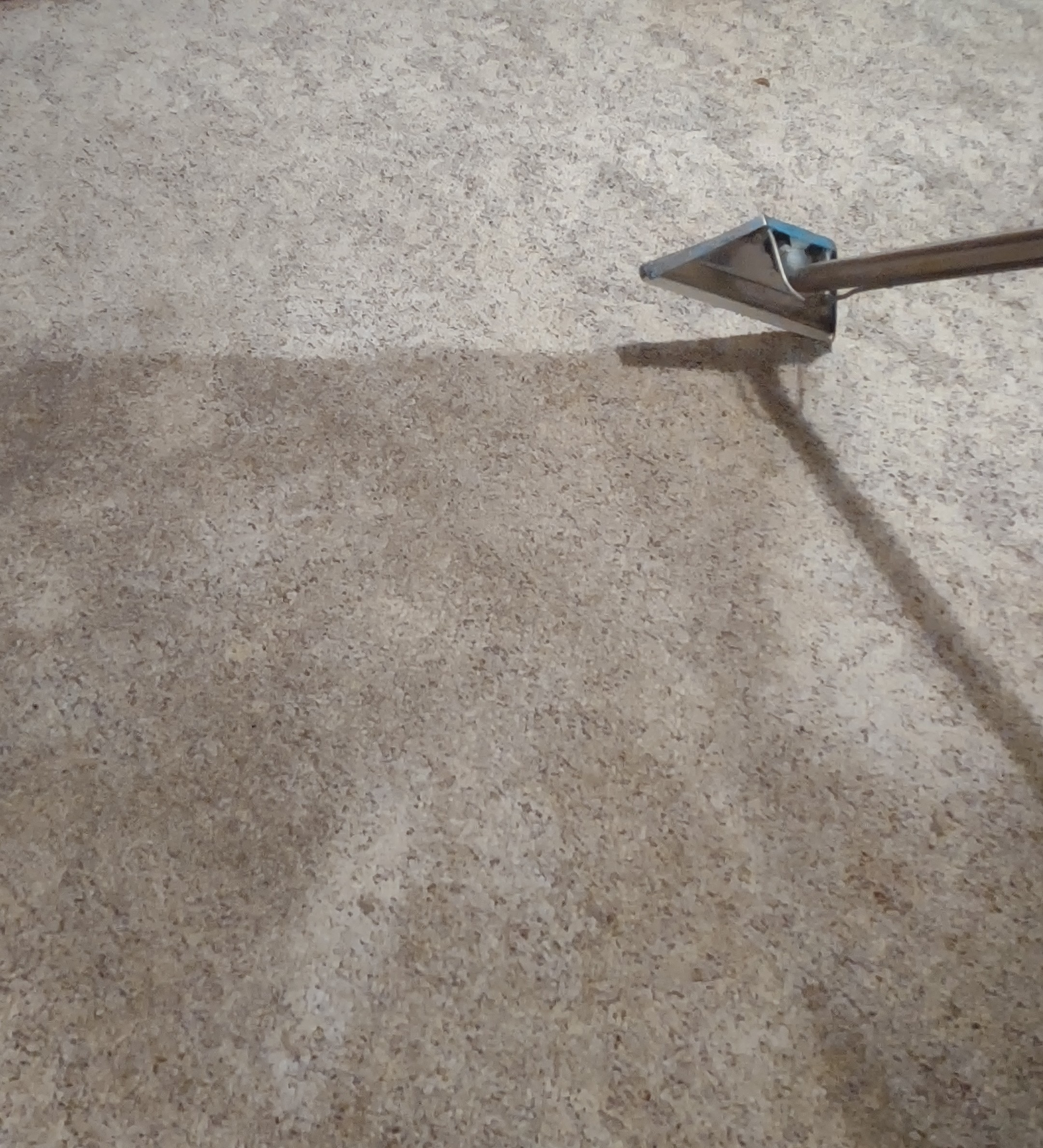 carpet cleaning