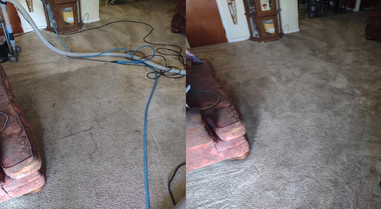 Cleaning Almost the Dirtiest Carpets Ever in Meridianville, AL