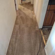 Cleaning-Almost-the-Dirtiest-Carpets-Ever-in-Meridianville-AL 1