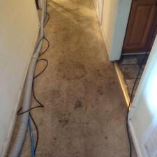 Cleaning-Almost-the-Dirtiest-Carpets-Ever-in-Meridianville-AL 3