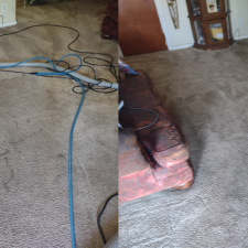Cleaning-Almost-the-Dirtiest-Carpets-Ever-in-Meridianville-AL 4