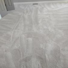 Heavy-Pet-Stain-Removal-in-Huntsville-AL 1