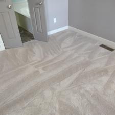 Heavy-Pet-Stain-Removal-in-Huntsville-AL 3