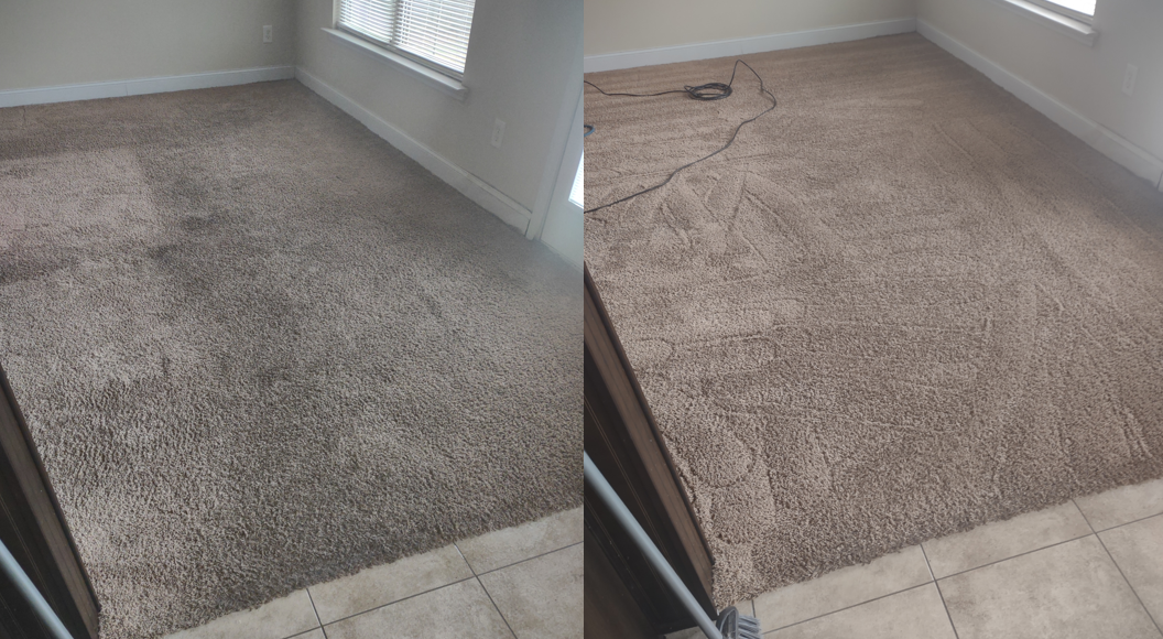 Trashed Carpet in Rental Property in Madison, AL