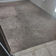 Trashed-Carpet-in-Rental-Property-in-Madison-AL 0