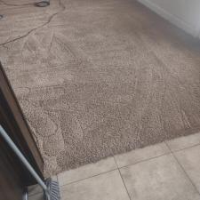 Trashed-Carpet-in-Rental-Property-in-Madison-AL 1