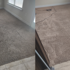 Trashed-Carpet-in-Rental-Property-in-Madison-AL 2